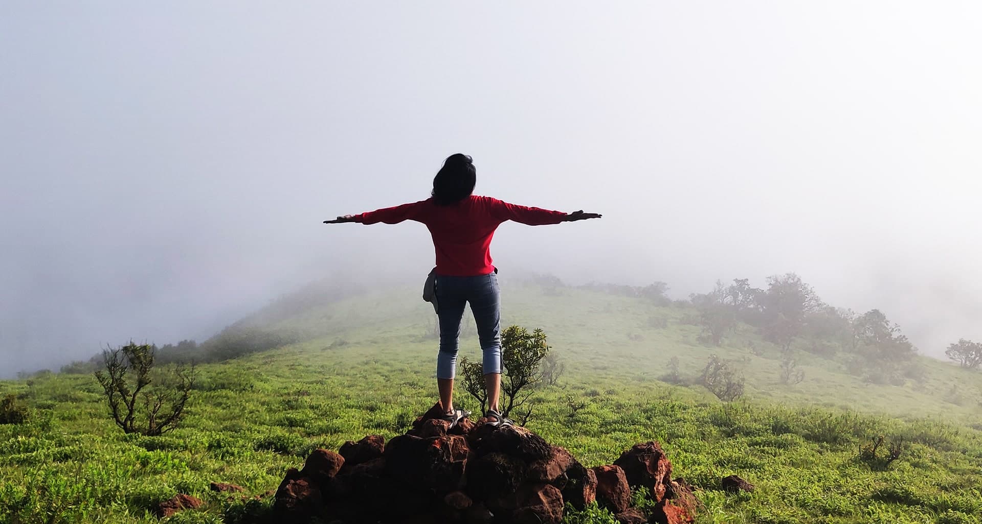 Western Ghats Amidst Lush Greenery