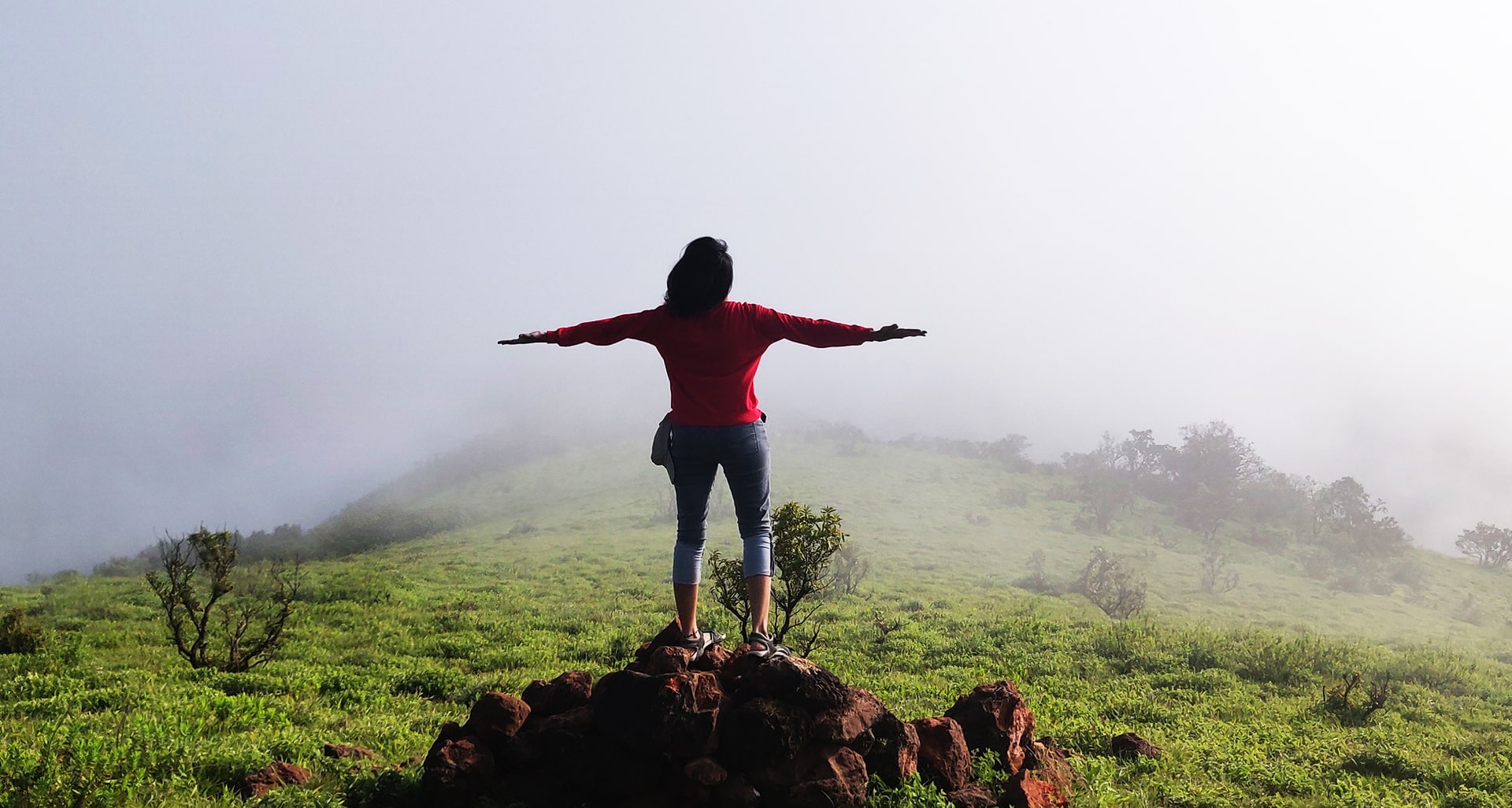 Western Ghats Amidst Lush Greenery